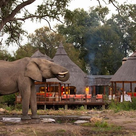 Hoyo Hoyo Safari Lodge Mluwati Concession Exterior foto