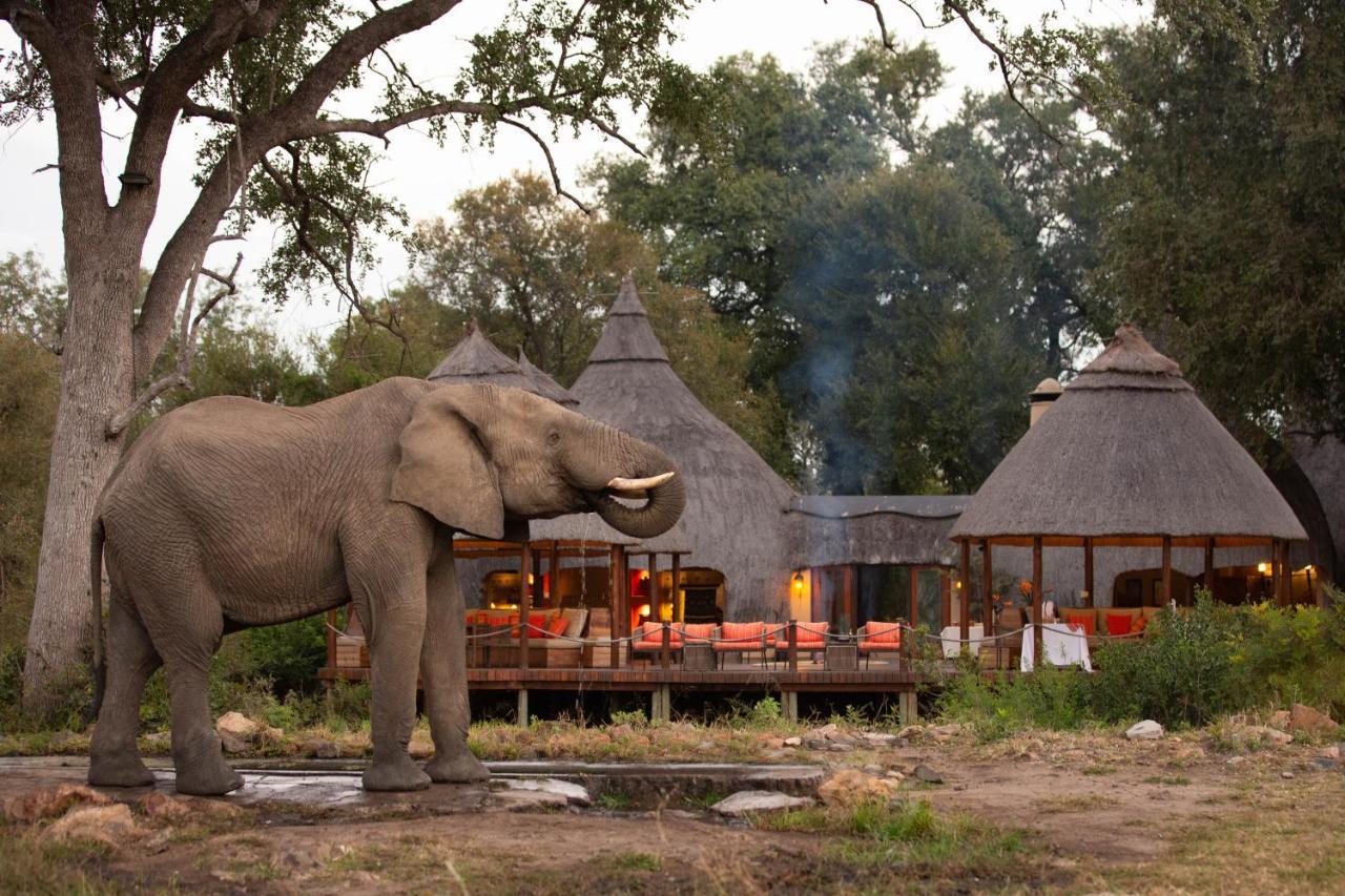 Hoyo Hoyo Safari Lodge Mluwati Concession Exterior foto