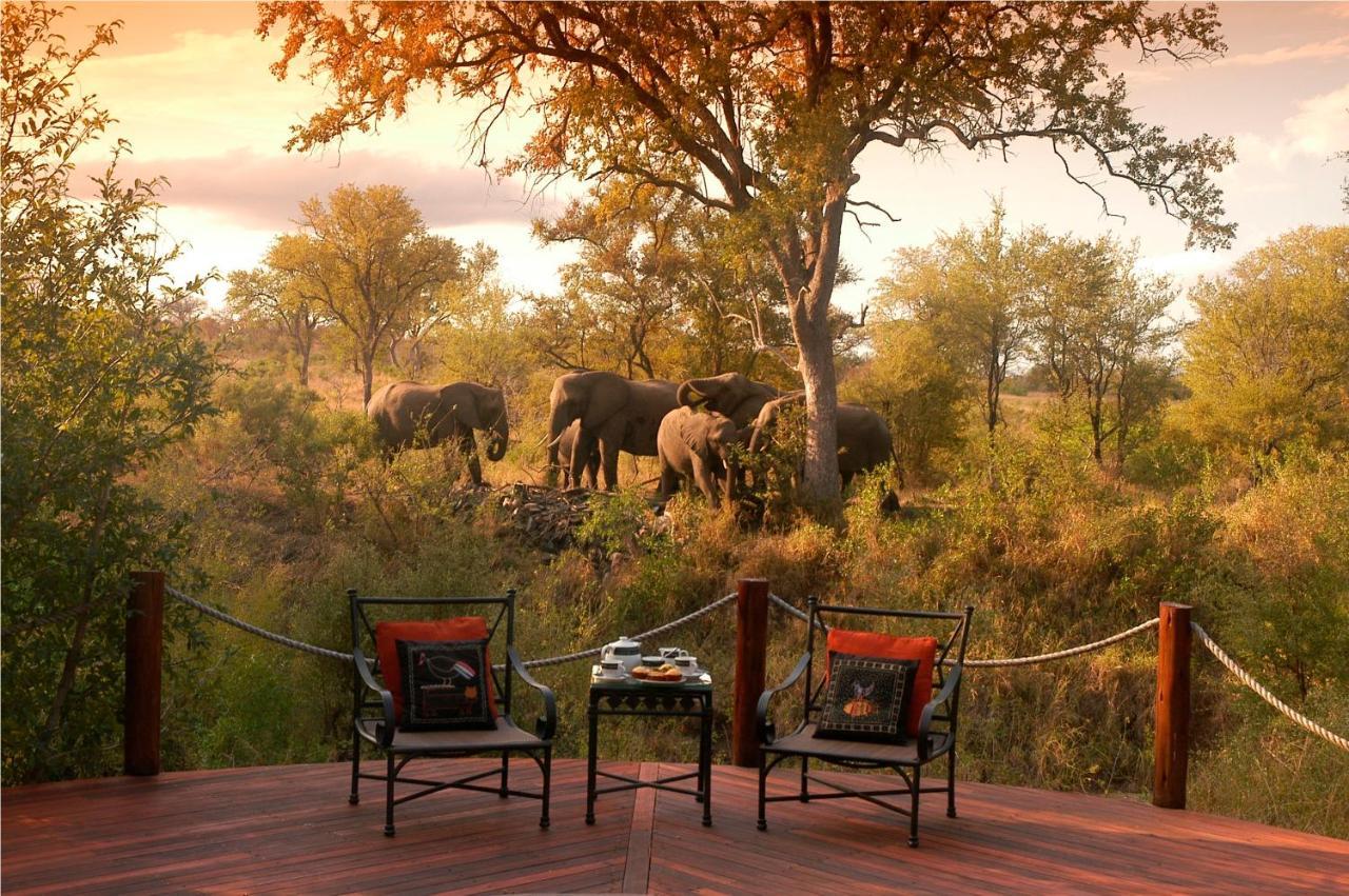 Hoyo Hoyo Safari Lodge Mluwati Concession Exterior foto