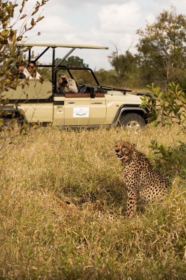 Hoyo Hoyo Safari Lodge Mluwati Concession Exterior foto